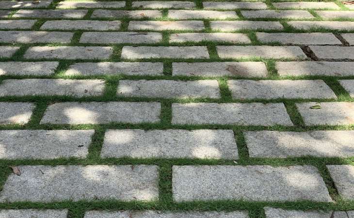 Как легко и играючи избавиться от раздражающей травы между тротуарными плитками: 2 способа 