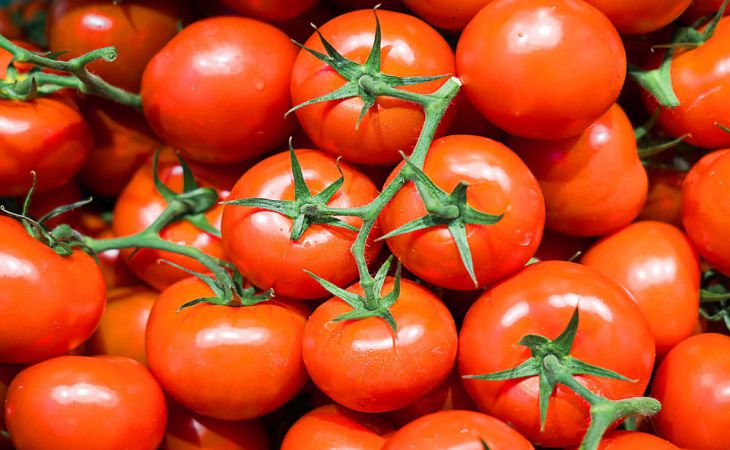 Что нельзя делать на грядках, чтобы было больше помидоров, а не зелени на кустах Что нельзя делать на грядках, чтобы было больше помидоров, а не зелени на кустах