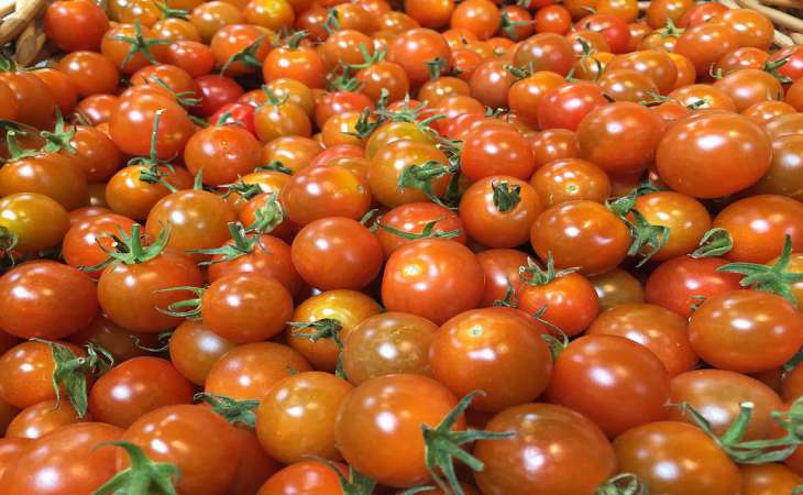 Подкормки, от которых зависит вкус и аромат томатов: советы дачникам к началу дачного сезона 