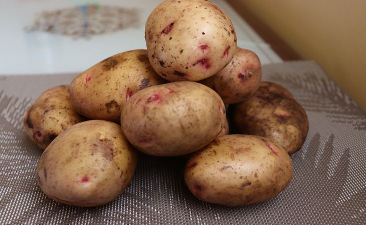 Чтобы урожай картошки не был скудным в этом сезоне, придётся придерживаться 5 правил