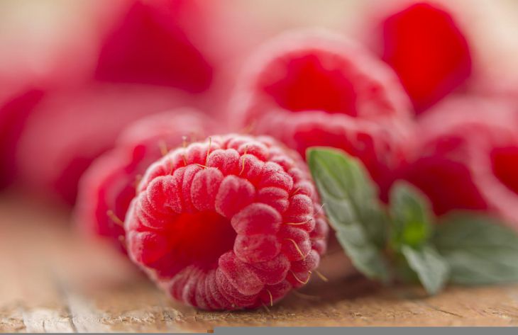 Чем подкормить малину, чтобы ягоды выросли крупными: секреты дачников малина