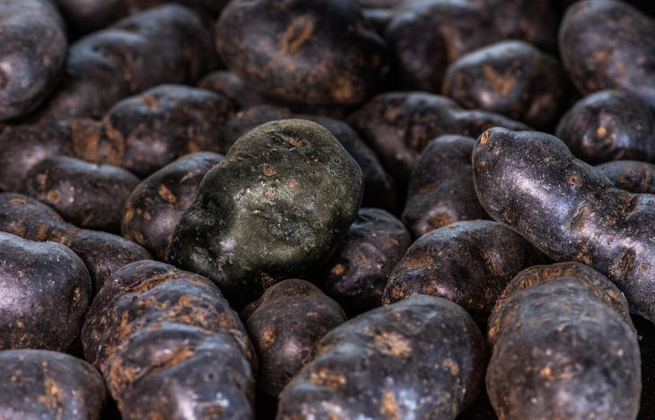 Как приготовить фиолетовый картофель: секретом делятся опытные кулинары