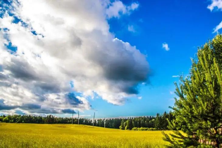 Народные приметы на 4 мая: что означает дождь погода