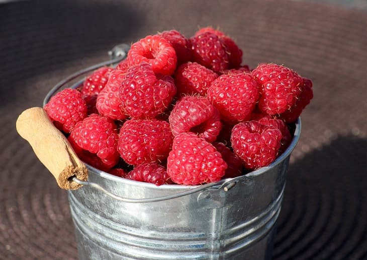 Готовьте вёдра для большого и сладкого урожая малины: натуральная подкормка, которая завалит вас ягодой