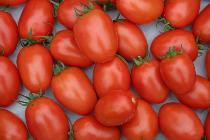 Борная кислота как удобрение для томатов: эффект превзойдет ожидания:новости, томаты, урожай, удобрение, помидоры, сад и огород