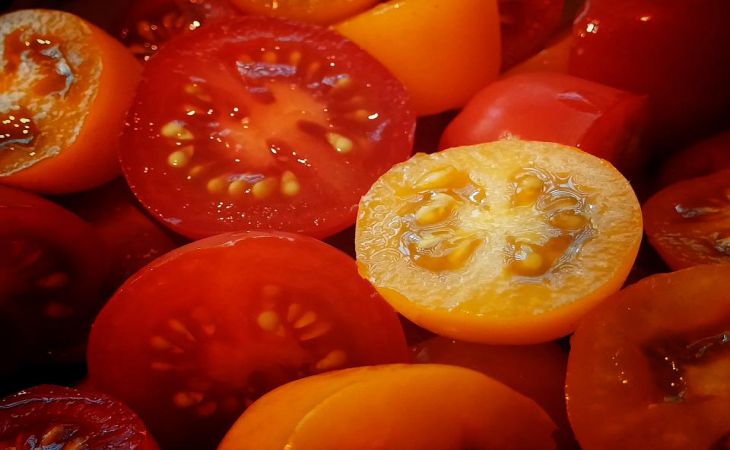 Ошибки, которые нельзя допускать при высадке томатов в грунт: рискуете остаться и без рассады, и без урожая 
