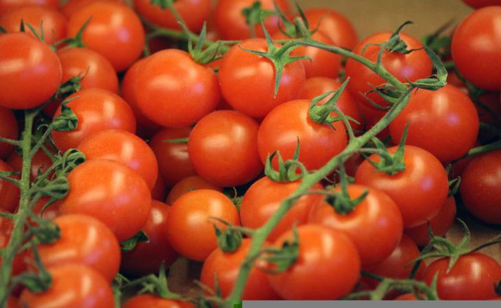 Как повысить сладость томатов: 5 хитростей для выращивания сладких овощей Как повысить сладость томатов: 5 хитростей для выращивания сладких овощей