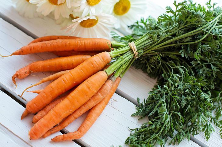 почему морковь растет кривая