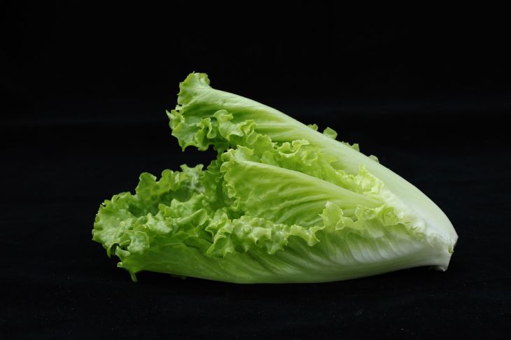 Почему горчит салат листовой на грядке: досадная ошибка огородников