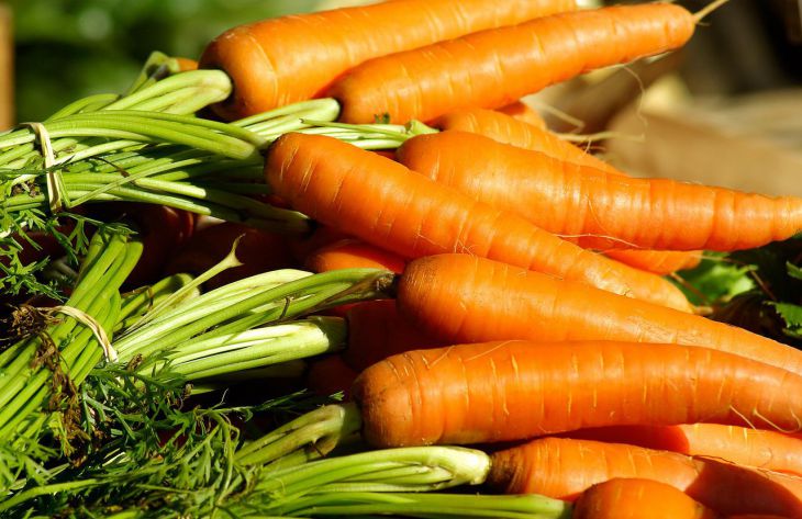 Выращиваем крупную морковь: учитывайте, что росло до моркови на этом участке, и следуйте рекомендациям 