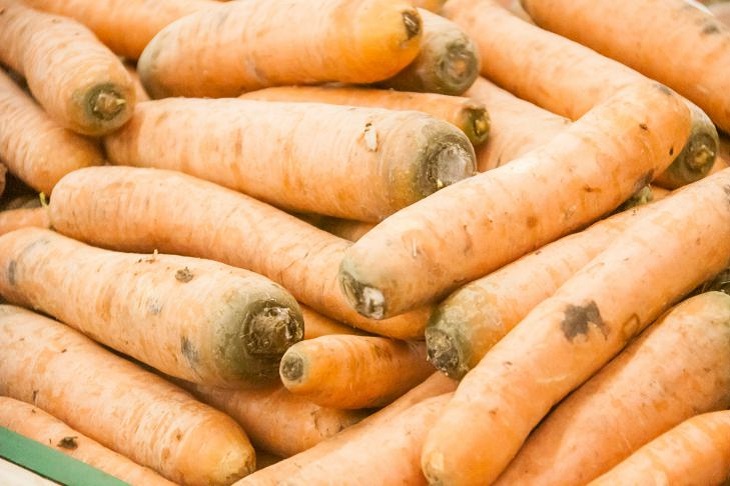 Что рекомендуют добавить в воду для полива моркови, чтобы получить богатыйурожай сладких корнеплодов: новости, морковь, огород, полив, урожай, сад иогород
