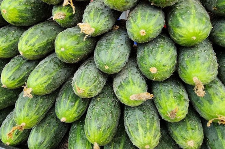 Посадите в конце июня этим хитрым способом огурцы: в августе огород завалит урожаем Огурцы