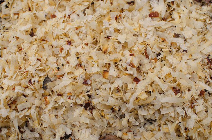 Компост из опилок: как правильно приготовить недорогое, но эффективное удобрение для сада и огорода Опилки