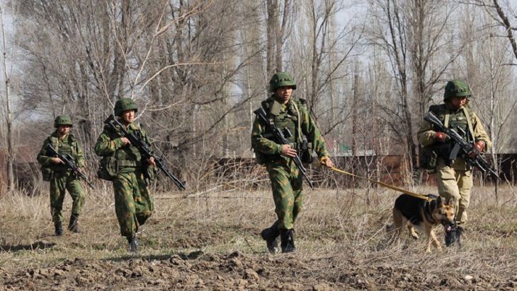 пограничники