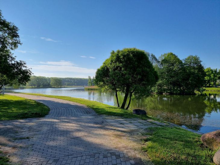 Народные приметы на 7 июня: будет холодное или теплое лето природа