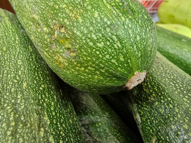 Подкормите кабачки этим составом в июле: урожай будет некуда девать Кабачки