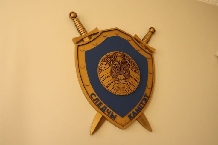 В Добрушском районе мужчина избил соседских детей следственный комитет