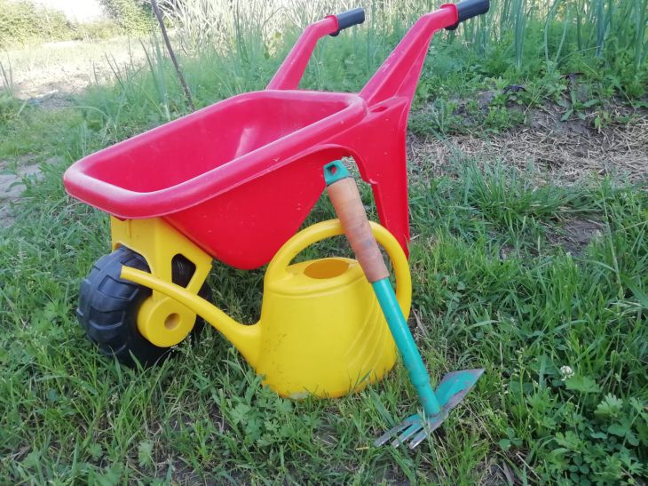 4 популярных, но бесполезных подкормок для участка: о чем не знают огородники Сад Лейка