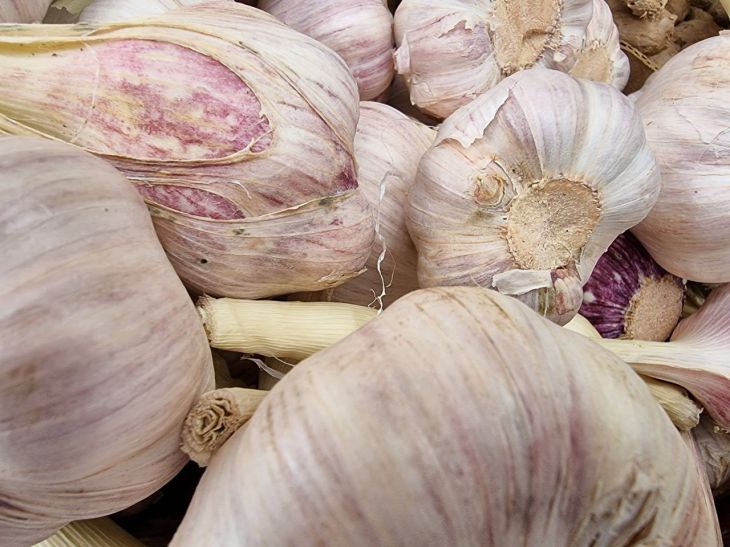 Чем в июле полить чеснок, чтобы успела вырасти крупная головка: простой рецепт чеснок