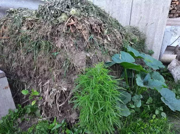 Лучшее натуральное удобрение, которое достается огородникам на халяву: что можно и нельзя добавлять в бродиловку компост