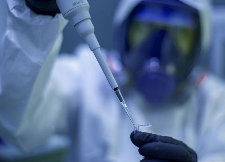 Северная Корея обвинила США в биологическом терроризме ученые