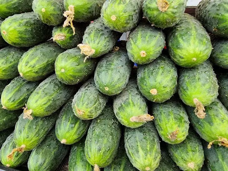 Используйте борную кислоту для шикарного урожая огурцов, и тогда из каждого цветка образуется завязь огурец