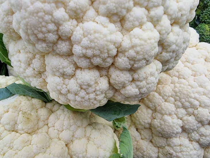 Неприятный запах во время варки цветной капусты: как можно исправить ситуацию капуста