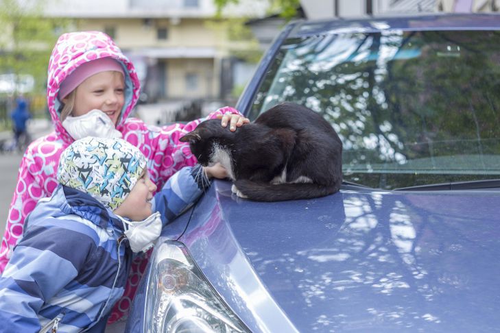 Правила: какие знаки зодиака не играют по ним дети