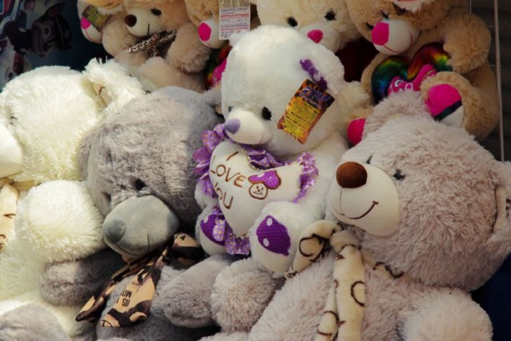 5 пылесборников, которые есть почти в каждом доме: какие предметы не дают хозяйкам победить в битве за чистоту Мягкие игрушки