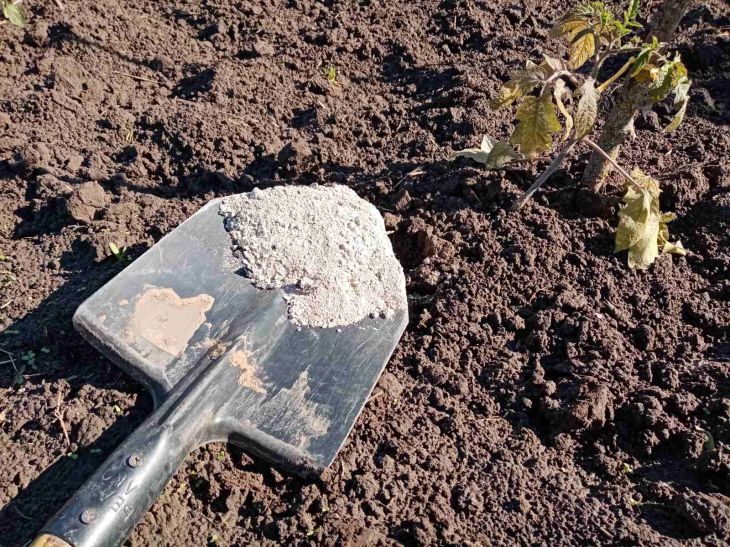 Лопата Почва