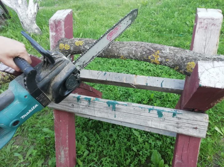 Что делать, если яблоня сохнет, а на плодоножках появились темные язвы: дачники рассказали, как спасти фруктовый сад Пила