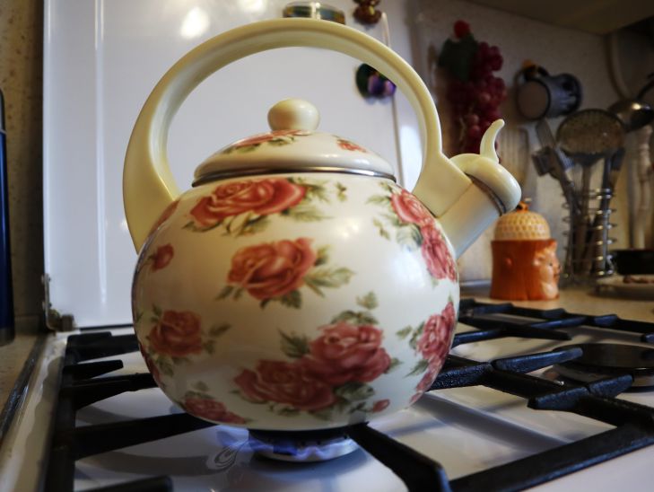 Как очистить чайник от накипи подручными средствами: назван самый экологически чистый способ