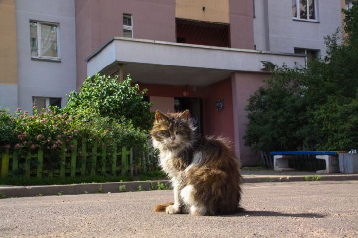 Минск готовится к отопительному сезону: что надо знать жителям кот