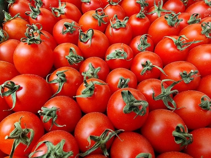 Соль от фитофторы на помидорах - как применять?