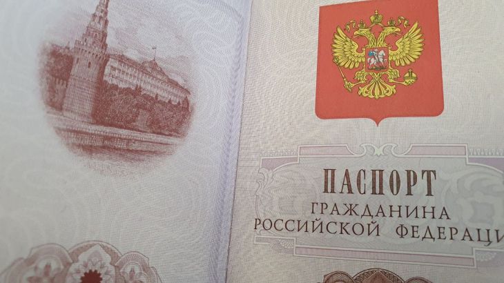 Эстония запретила въезд гражданам РФ с шенгенскими визами, выданными республикой паспорт