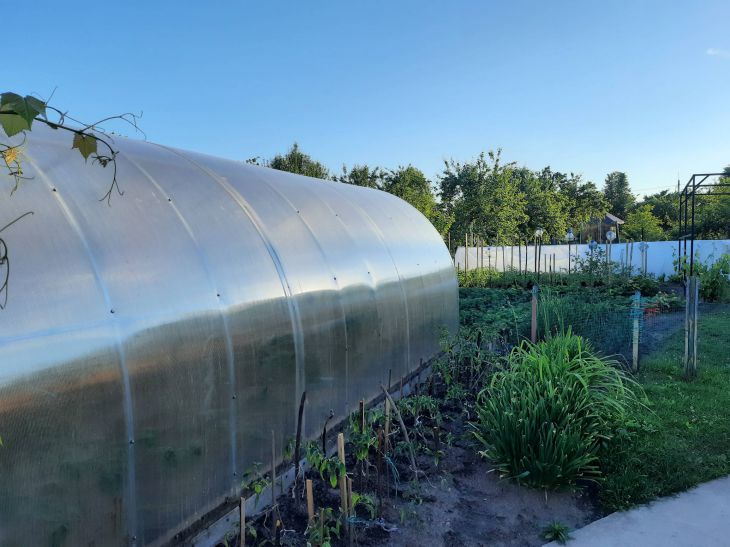 Как обрабатывать теплицу осенью медным купоросом: зачем это делают продвинутые дачники Огород, теплица