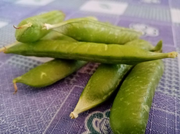 Какие 5 продуктов питания помогут защититься от чувства голода: рекомендации диетологов фасоль