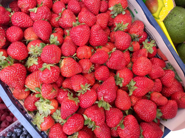 Что нужно сделать с клубникой в сентябре, чтобы собрать богатый урожай ягод: деревенские хитрости клубника