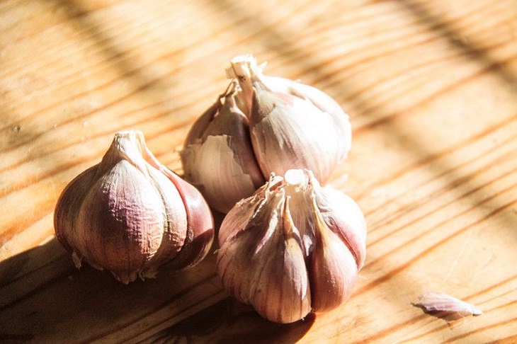 Основные хитрости посадки чеснока осенью: крупные головки и долгая лёжкость урожая обеспечены Чеснок