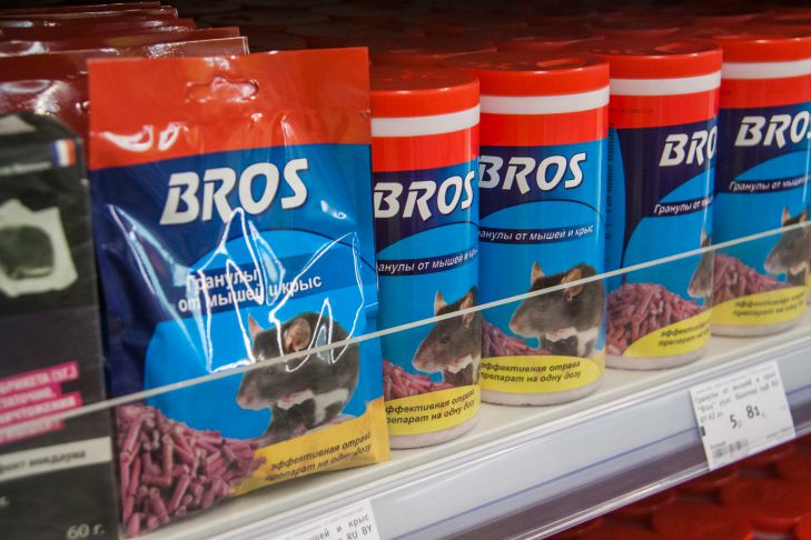 С какими вредителями лучше всего бороться осенью: защищаем огород грамотно Яд Вредители