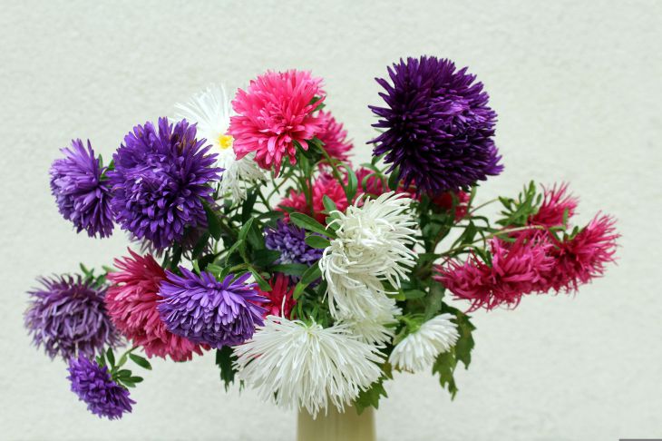 Букет из астр