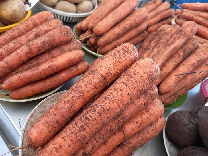 Какая простая хитрость поможет сохранить урожай моркови до весны: не все хозяйки знают