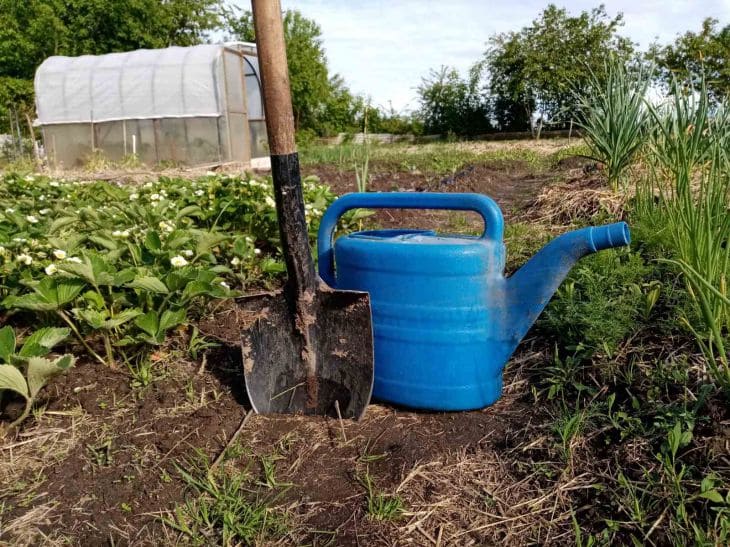 Что нужно обязательно сделать в октябре на огороде Огород