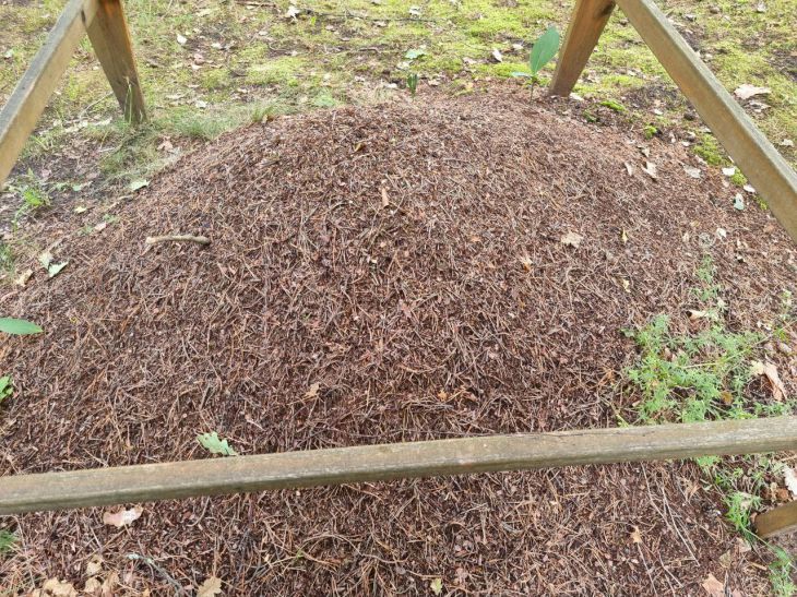 Как повысить урожайность почвы: опытные огородники назвали проверенные способы удобрение