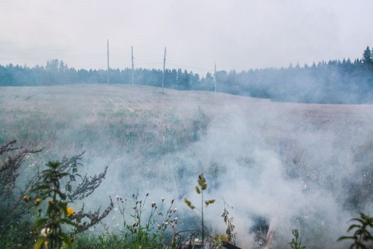 Красный уровень опасности объявлен в Беларуси на 4-6 сентября дым