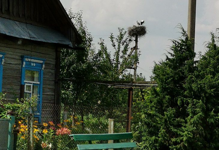 5 вещей, которые должны быть на настоящей даче Дом