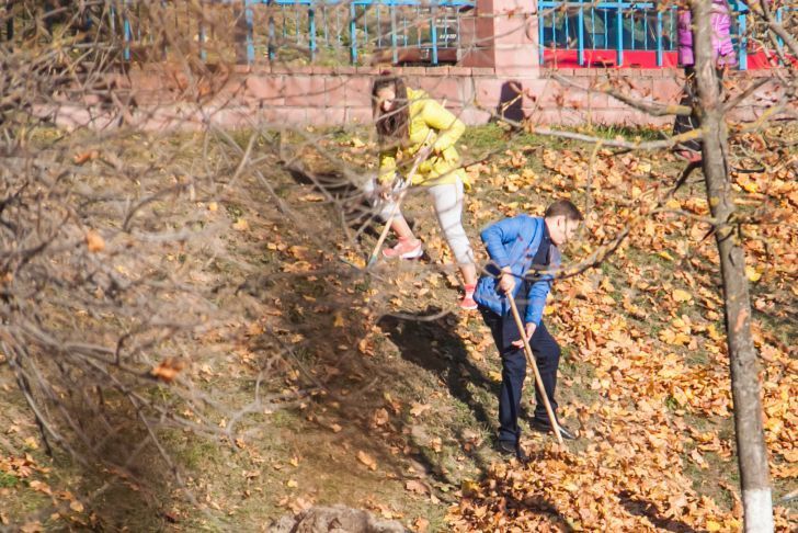 Конкурсы и чаепитие. В Минске 15 октября проведут креативные субботники