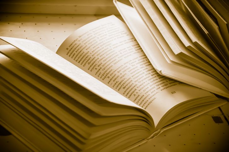 В Могилеве проходит международный форум по читательской грамотности книга