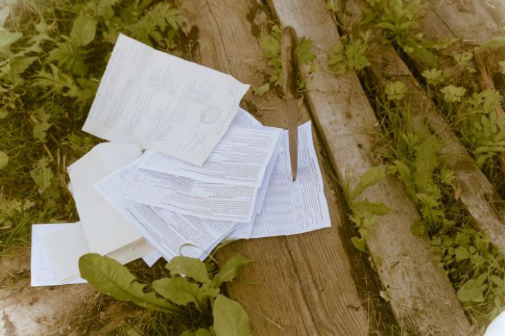 Так можно или нет добавлять бумагу в мульчу: однозначный ответ фермера-профессионала Бумага