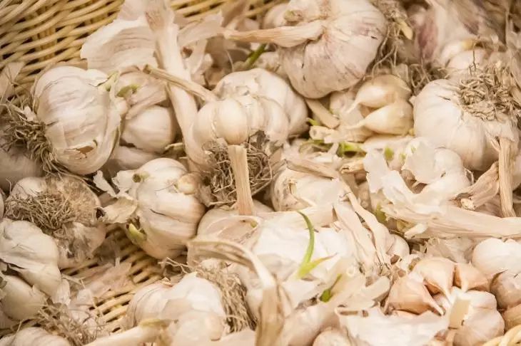 Посадите чеснок рядом с этими овощами и соберете урожай, который всех удивит чеснок